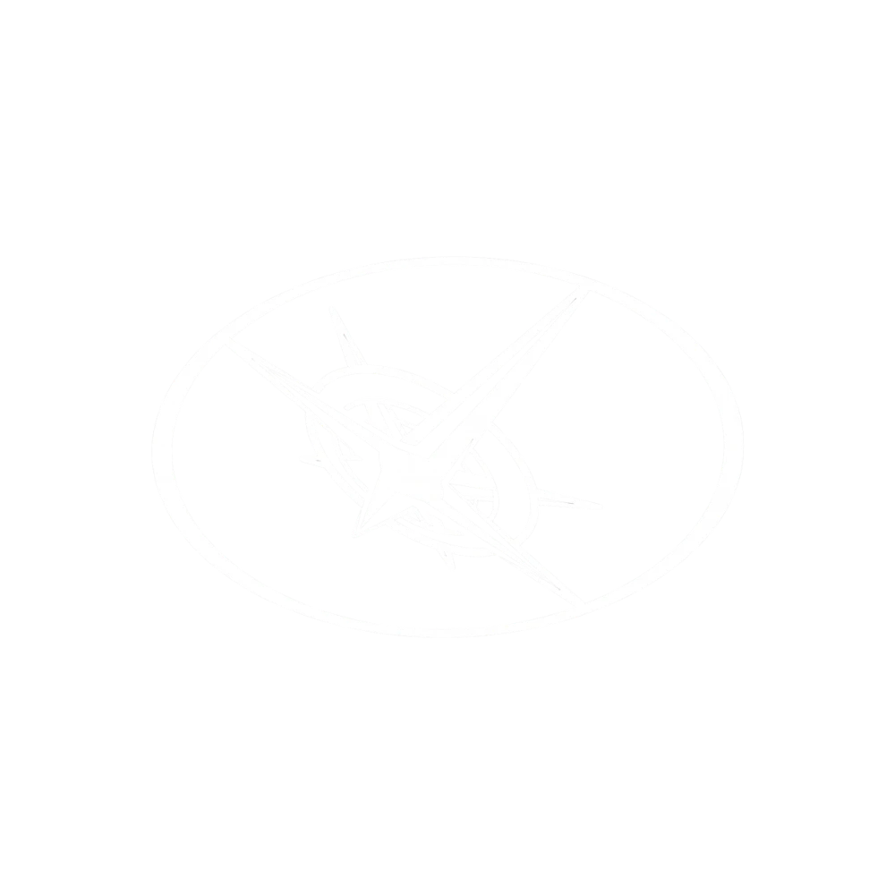 J & T SURVEY Logo